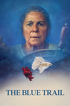 The Blue Trail Film Club 